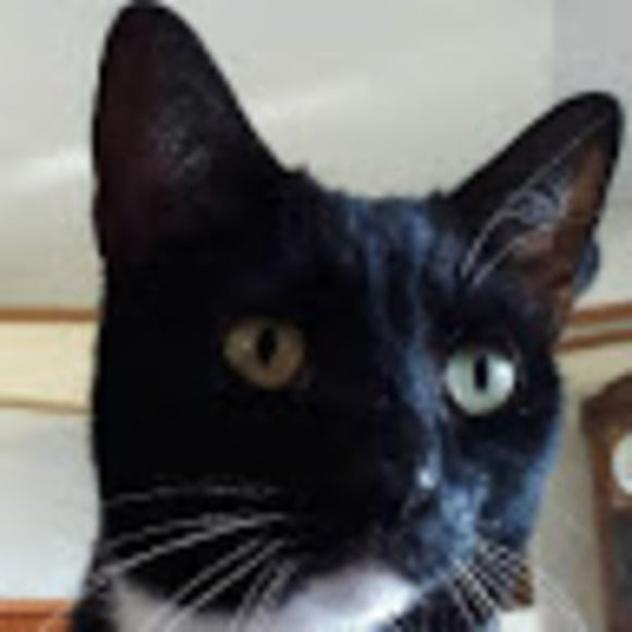 Meet your Posher, Julia - Picture 1 of 1